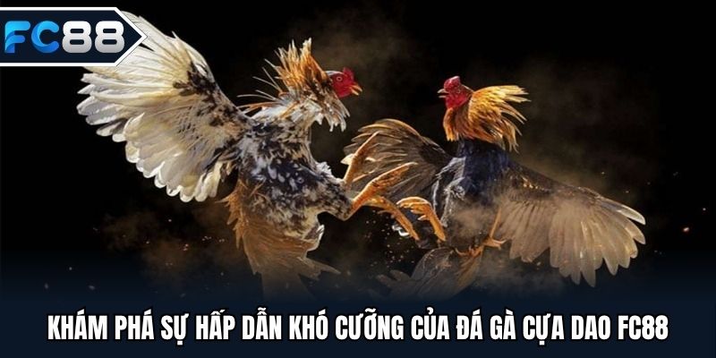 Khám phá sự hấp dẫn của đá gà cựa dao FC88