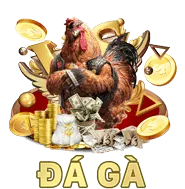 Đá gà fc88