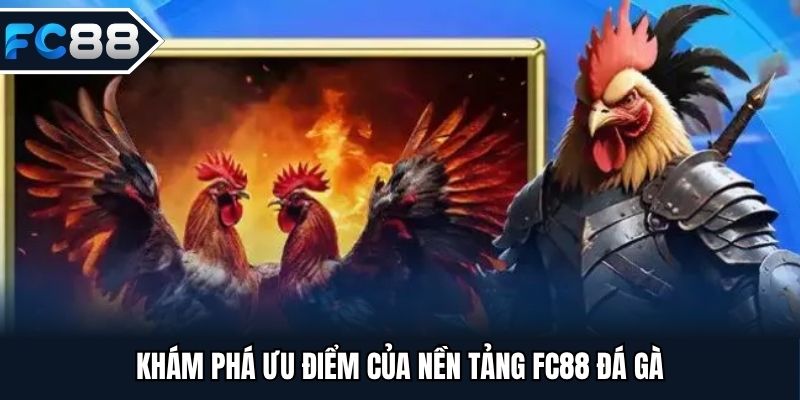 Khám phá ưu điểm của nền tảng FC88 đá gà