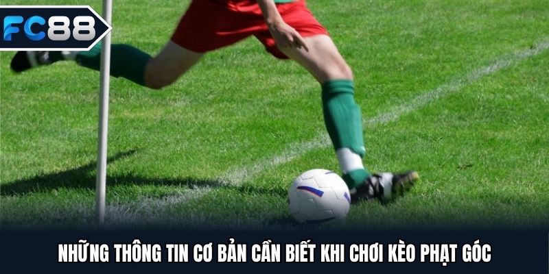 Những thông tin cơ bản cần biết khi chơi kèo phạt góc